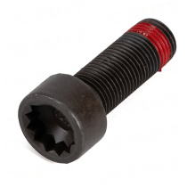 Porsche 911 992-1/992T & Boxster/Cayman 718 Svänghjulsbult M10x1x 29mm OE-Cult